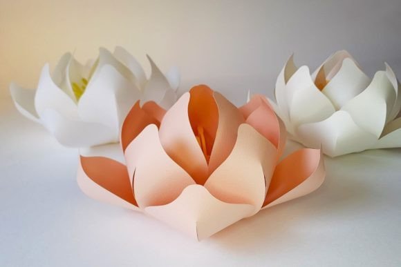 3D Paper Lantern Lotus Flower