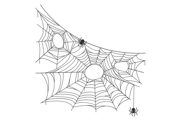 Decorative Spider Net. Black Line Cobweb